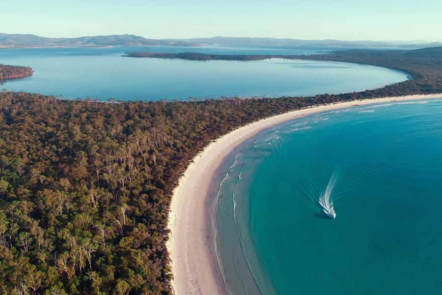 From Triabunna: Maria Island Cruise & Guided Walk with Lunch - Wildlife around Maria Island and the Island of Seals