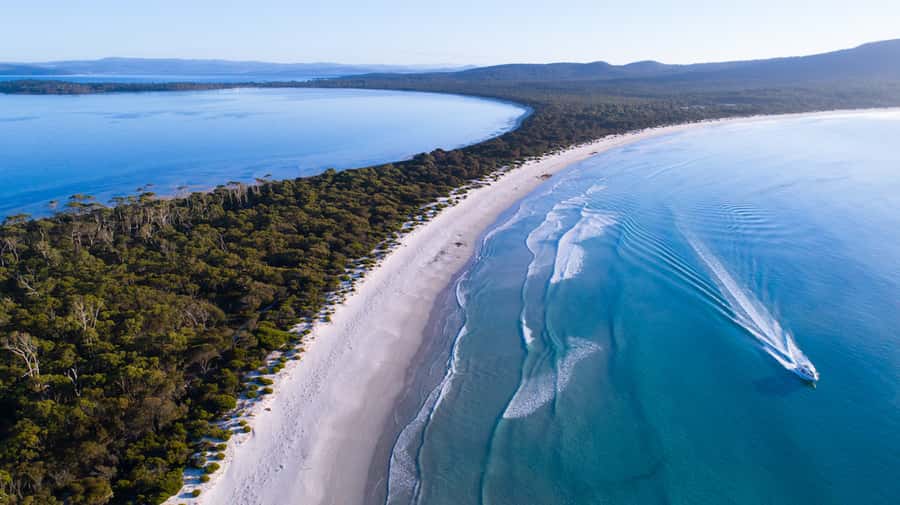 From Triabunna: Maria Island Cruise & Guided Walk with Lunch - What the $208 price really covers