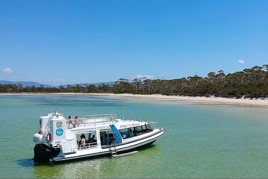 From Triabunna: Maria Island Cruise & Guided Walk with Lunch - Cruising past cliffs, caves, and waterfalls