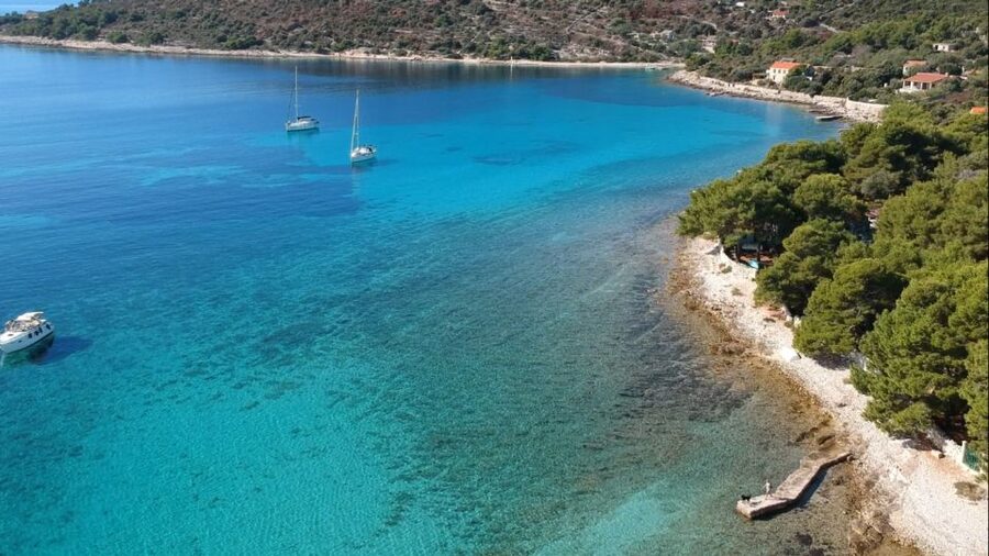 From Trogir: Three Islands Half-Day Speedboat Tour - Maslinica on Šolta: One Hour of Village Time