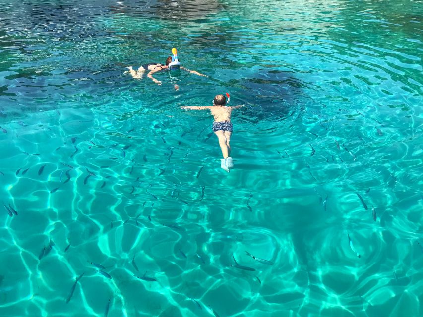 From Trogir: Three Islands Half-Day Speedboat Tour - Who Will Enjoy This Tour Most?