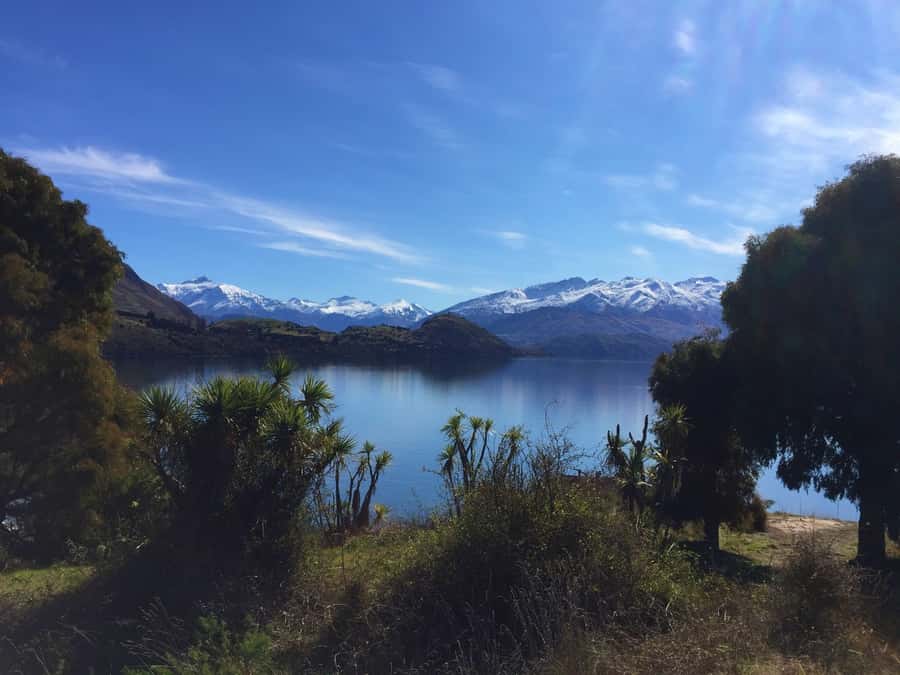 From Wanaka: Ruby Island 1-Hour Cruise and Photo Walk - Key points to know before you book