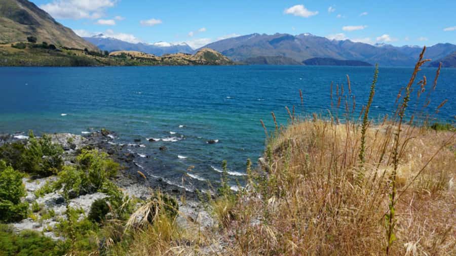 From Wanaka: Ruby Island 1-Hour Cruise and Photo Walk - A quick boat ride from Wanaka’s waterfront