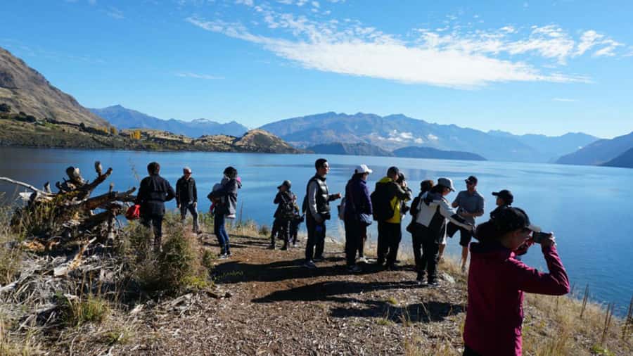 From Wanaka: Ruby Island 1-Hour Cruise and Photo Walk - Is $29 good value?