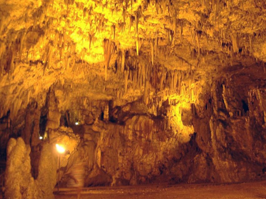 From Zakynthos: Kefalonia Island Full Day Tour by Bus & Boat - Key points to know before booking