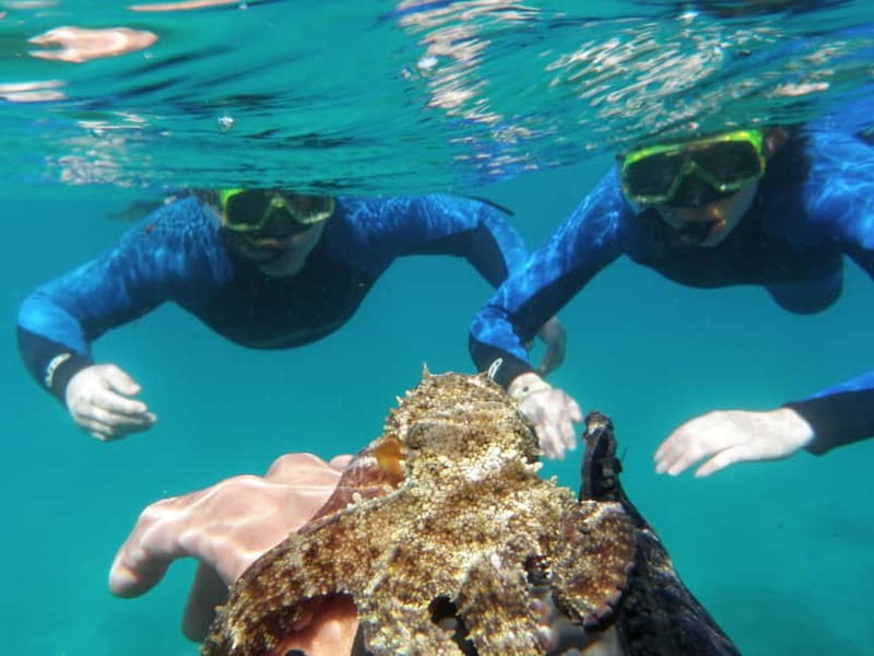 Fuerteventura: 1-hour private mini-cruise to Lobos Island - What the guide adds to the ride