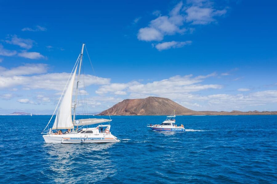 Fuerteventura : Catamaran excursion to Lobos Island - Key points to know before booking