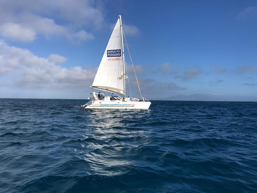 Fuerteventura : Catamaran excursion to Lobos Island - Paella, sangria, and a relaxed lunch afloat
