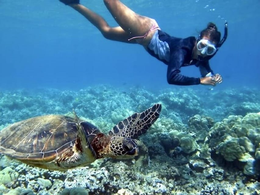 Fuerteventura : Catamaran excursion to Lobos Island - Why the crew matters on a small-group trip