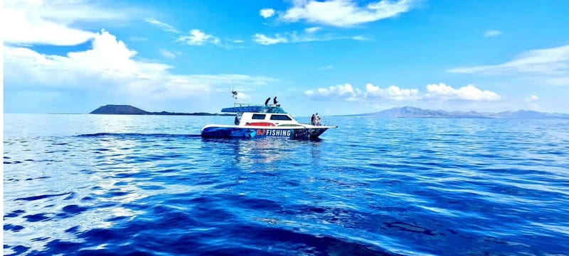 Fuerteventura: Dolphin watching and Lobo Island Combo Cruise - Should you book the BJ Fishing combo cruise?