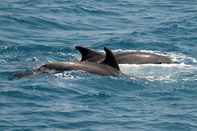 Full Day 3-Island Boat Cruise from Port of Kos - What the boat is really like for seven hours