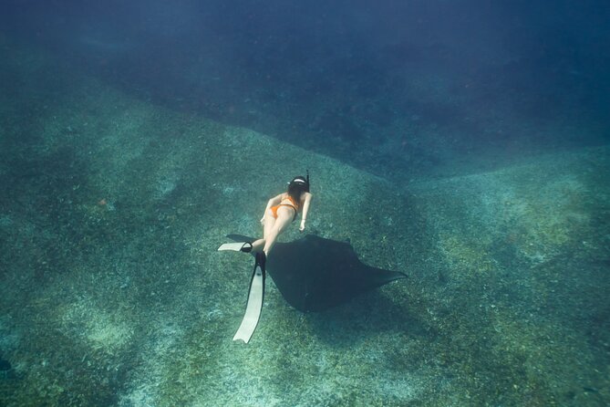 Full-Day Adventure Tour to komodo Island with join Speed Boat tur - Meeting Komodo dragons on Komodo Island