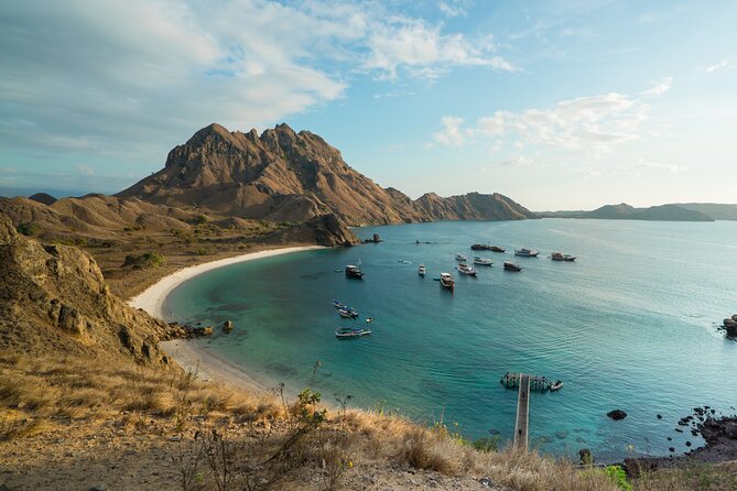 Full-Day Adventure Tour to komodo Island with join Speed Boat tur - Who will enjoy this shared speedboat day