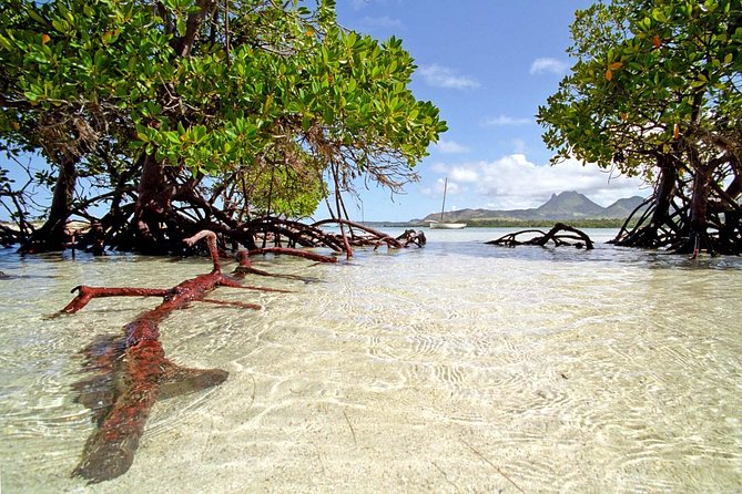 Full-Day At Ile Aux Cerf: Speed Boat, GRSE, Lunch On A Private Island & Transfer - From Trou d’Eau Douce to the east-coast lagoon