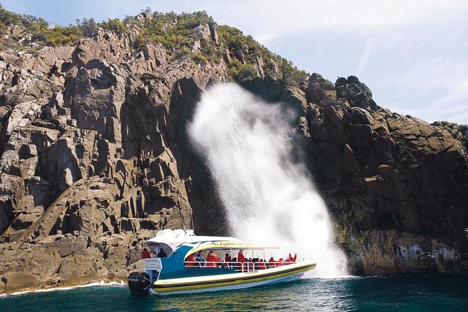 Full-Day Bruny Island Cruises Day Tour from Hobart - The 7:45 am start from Franklin Wharf