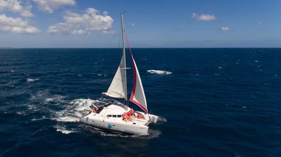 Full Day Catamaran Luxury Cruise to Northern Islands w Lunch - Snorkeling near Flat Island
