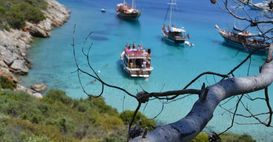 Full-Day Orak Island Boat Trip from Bodrum - Two hours at Orak Island form the heart of the day