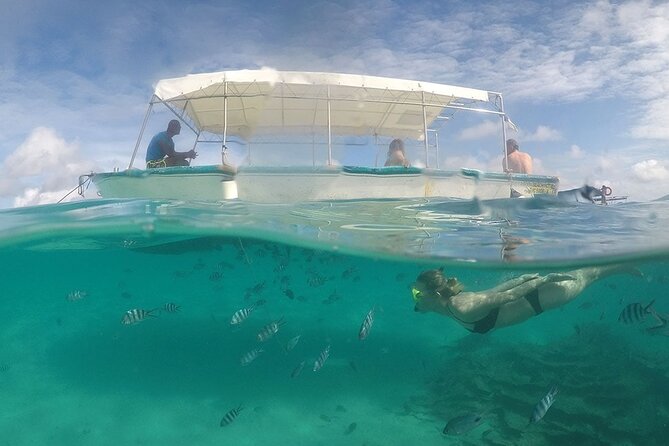 Full Day Tour 5 Island to Ile Aux Cerfs Incl. Lunch and Transfer - GRSE Waterfall from the river mouth