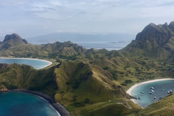Full Day Tour to Komodo Island By Speed Boat to explore 6 destinations - Manta Point and the Limits of Wildlife Promises