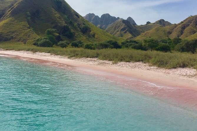 Full Day Tour to Komodo Island By Speed Boat to explore 6 destinations - The Boat, Transfers, and Organization