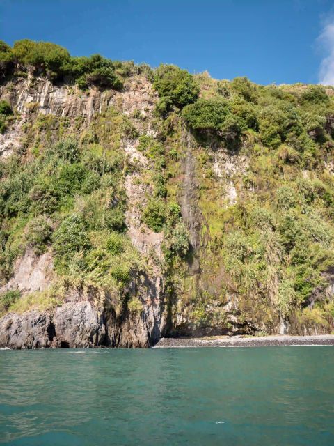 Funchal: Speedboat SEE THE ISLAND AND LIFE AT SEA - The mid-tour swim stop