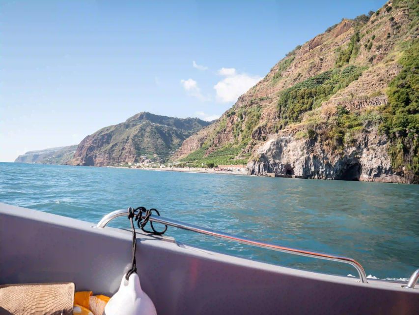 Funchal: Speedboat SEE THE ISLAND AND LIFE AT SEA - How fast is the speedboat?