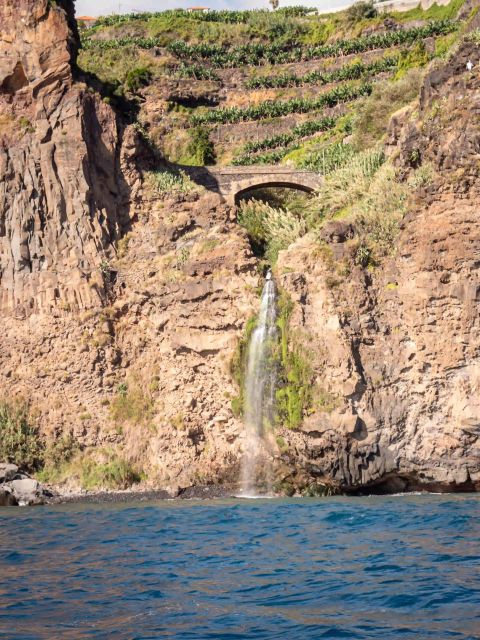 Funchal: Speedboat SEE THE ISLAND AND LIFE AT SEA - Seating, comfort, and safety questions