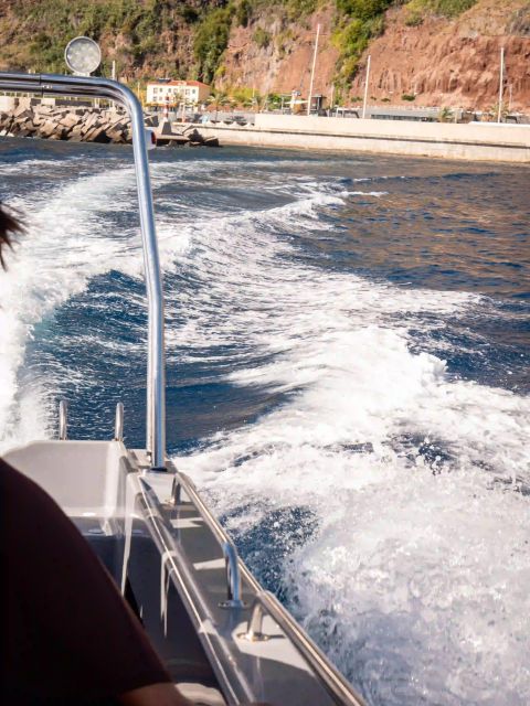Funchal: Speedboat SEE THE ISLAND AND LIFE AT SEA - Who will enjoy this Funchal boat trip?