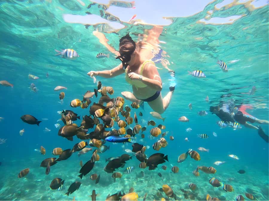 Gili Islands: Private Snorkeling Boat Tour with Local Guide - Key points before you book
