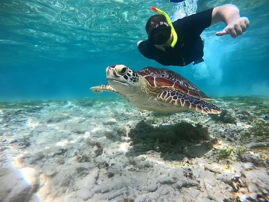 Gili Islands: Private Snorkeling Boat Tour with Local Guide - Gili Trawangan, the lively first stop