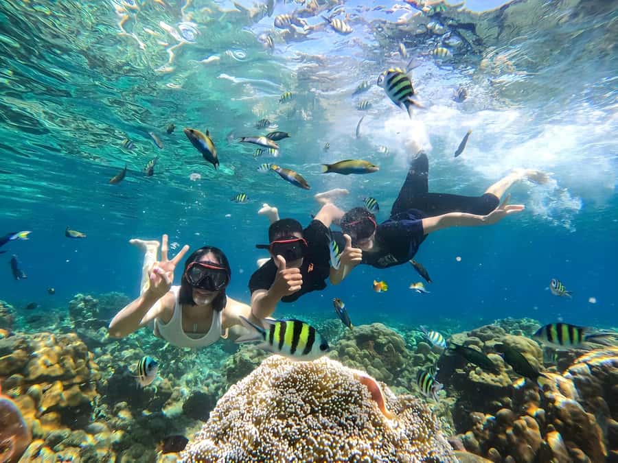 Gili Islands: Private Snorkeling Boat Tour with Local Guide - Gili Meno and the underwater statues
