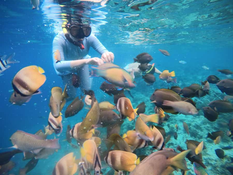 Gili Islands: Private Snorkeling Boat Tour with Local Guide - What the water time is really like