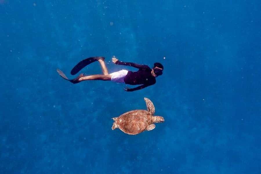 Gili Islands: Private Snorkeling Boat Tour with Local Guide - Meeting your guide on Gili Air, Meno, Trawangan, or Lombok