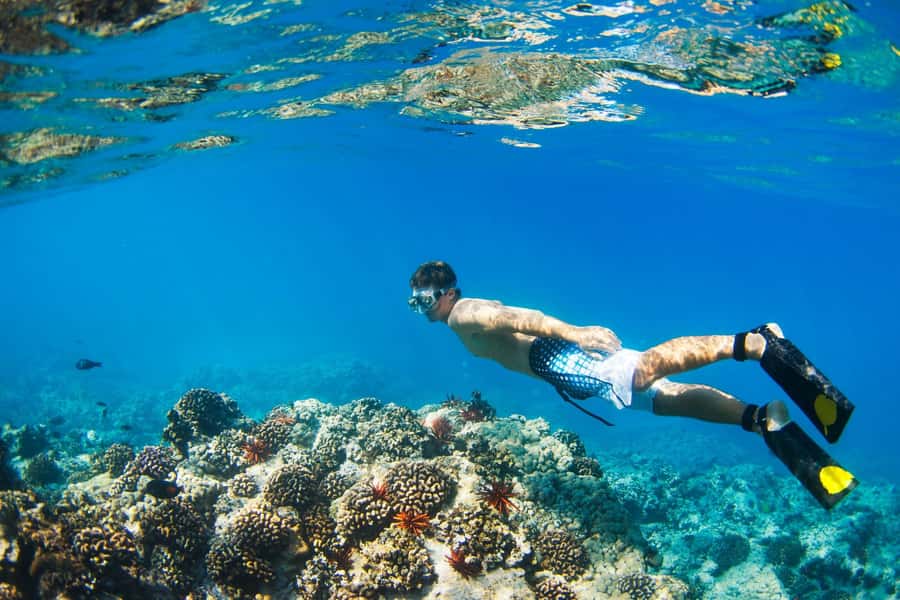 Gili Islands: Underwater Statues Cruise and Snorkeling - Why the underwater statues make this trip different