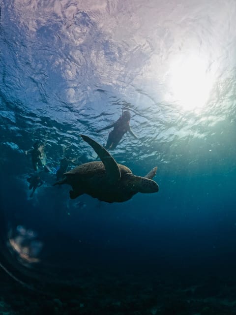 Gili Trawangan: 3 Gili Islands Turtle Snorkel Cruise w/ BBQ - Weather, timing, and safety limits