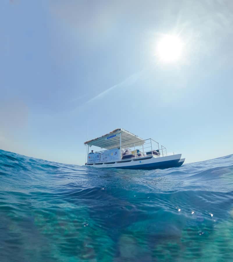 Gili Trawangan: 3 Gili Islands Turtle Snorkel Cruise w/ BBQ - Turtle points and the right expectation