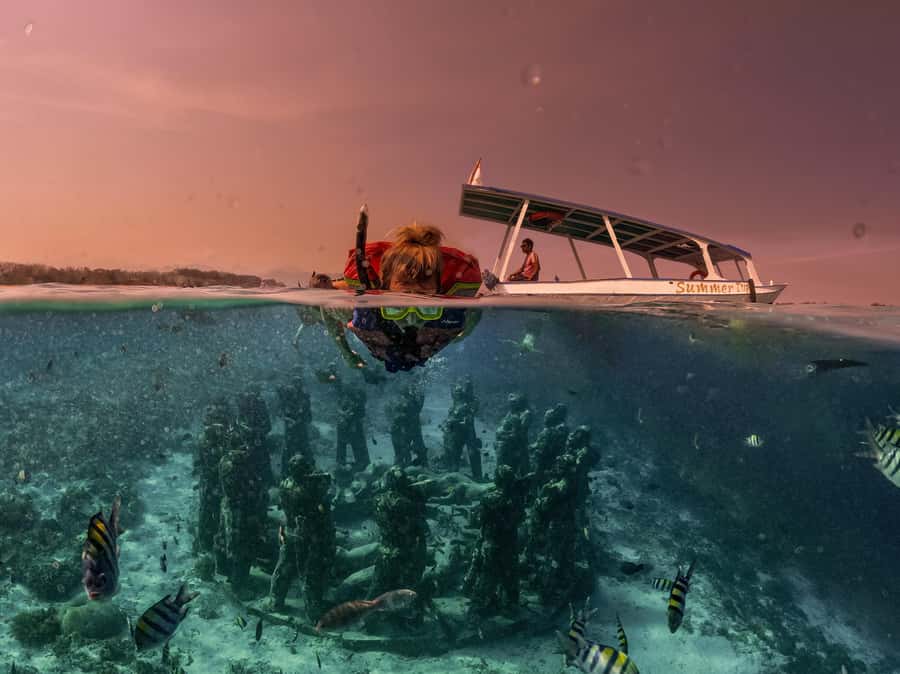 Gili Trawangan: Gili Islands Sunset Boat Tour and Snorkeling - Second stop: Turtle Point with help from the guide