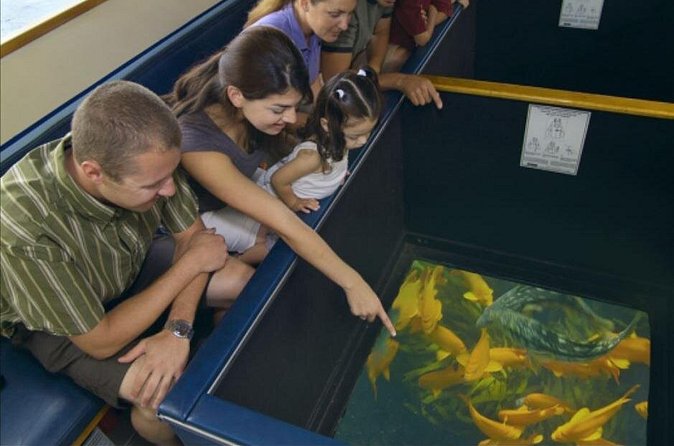 Glass Bottom Boat: Catalina Island Tour - Is $32.05 a fair price?