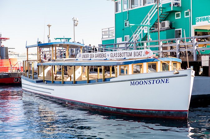 Glass Bottom Boat: Catalina Island Tour - Best seats and how to get more from the boat
