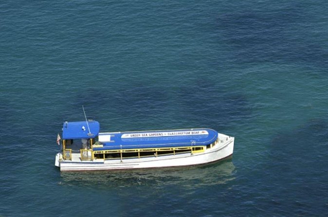 Glass Bottom Boat: Catalina Island Tour - Timing at the Green Pleasure Pier