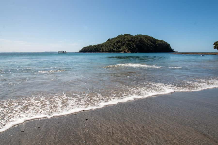 Goat Island: Glass Bottom Boat Tour - A glass-bottom view of New Zealand’s first marine reserve