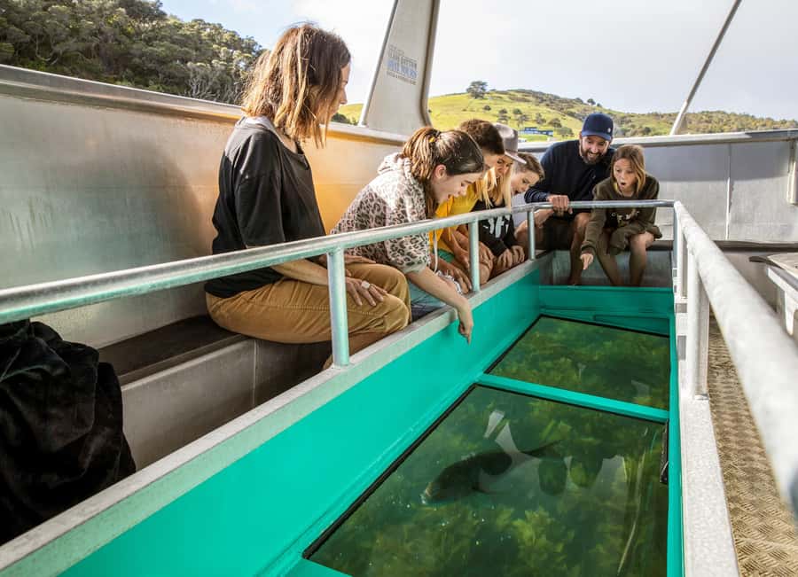 Goat Island: Glass Bottom Boat Tour - Why the narration adds real value