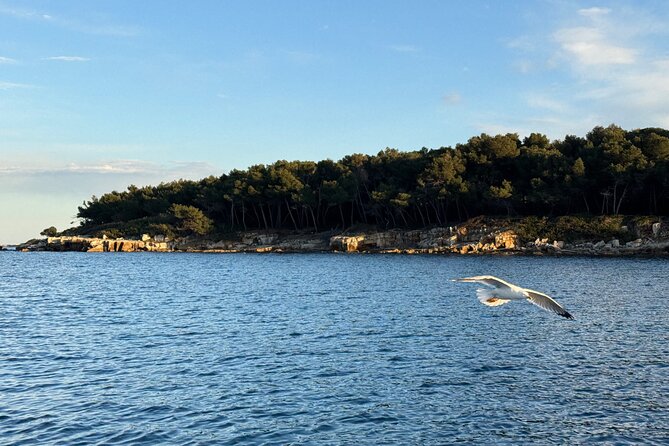 Golf Juan: Sunset Sailing Cruise with aperitif at the Island - Who Will Enjoy This Evening Most
