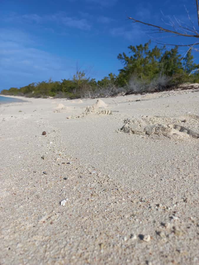 Grand Baie: Three Islands Private Boat Trip and Beach BBQ - Who will enjoy this most?