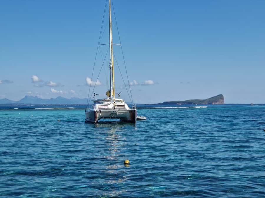 Grand Bay: Catamaran Cruise to Flat Island with BBQ Lunch - Flat Island beach time and swimming