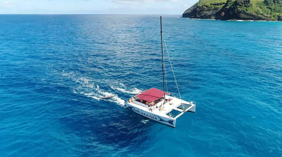 Grand Bay: Catamaran Cruise to Flat Island with BBQ Lunch - BBQ lunch, drinks, and the practical reality