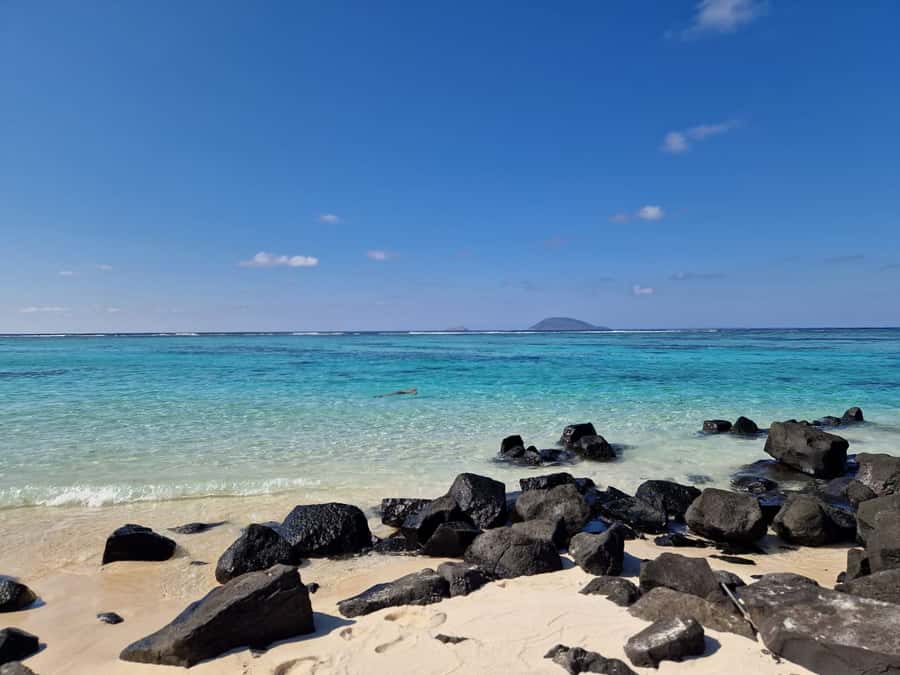 Grand Bay: Catamaran Cruise to Flat Island with BBQ Lunch - Should you book the Flat Island catamaran?