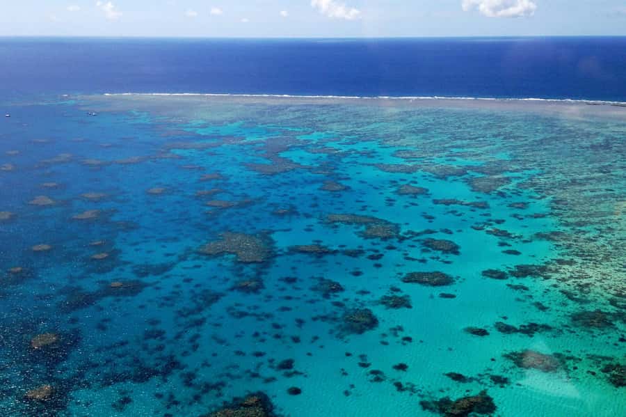 Green Island Fly & Cruise Package - Should you book the Green Island Fly and Cruise?