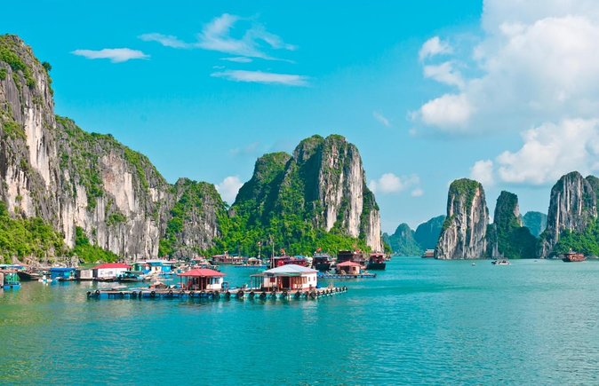 Ha Long Bay Cruise Day Tour-Cave, Kayaking,Ti top island & Lunch - Key points to know before booking