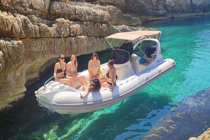 Half-Day Private Speedboat Excursion to Sazan Island & Karaburun - Key details at a glance